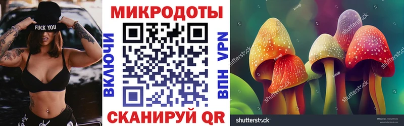 Псилоцибиновые грибы Psilocybe  Купить где  Дальнегорск 